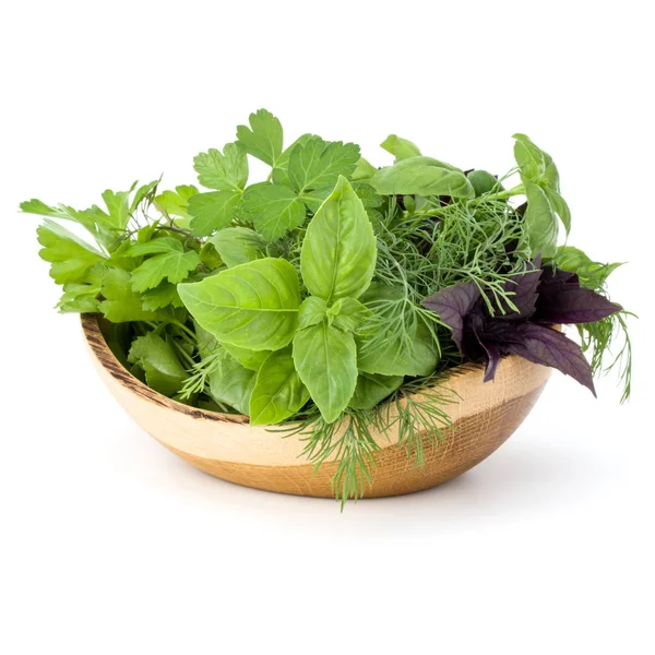 Taze baharatlar ve bitkiler. 