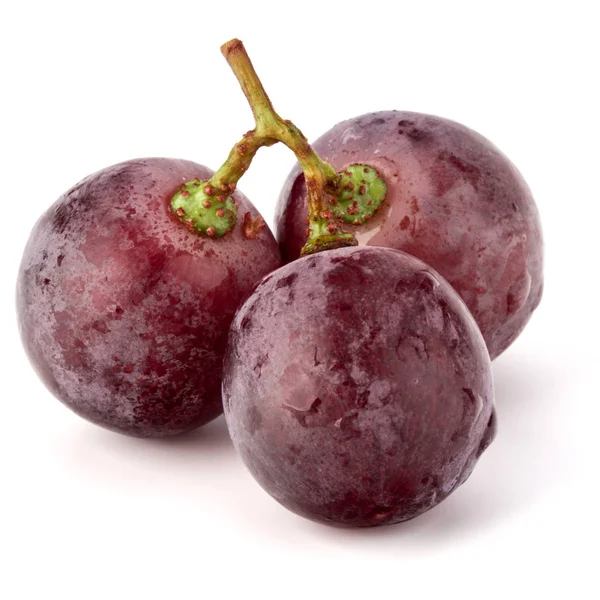 kırmızı üzüm demet 