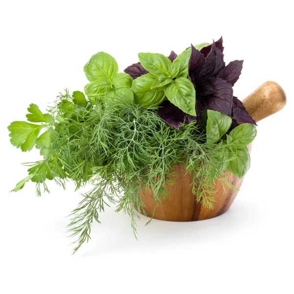 Taze baharatlar ve bitkiler. 