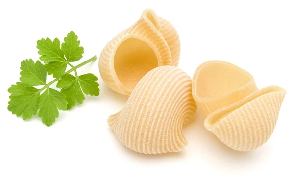 Tasty Italian lumaconi — Stock Photo, Image