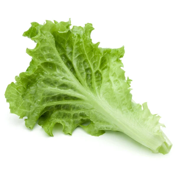 Green lettuce leaves — Stock Photo, Image