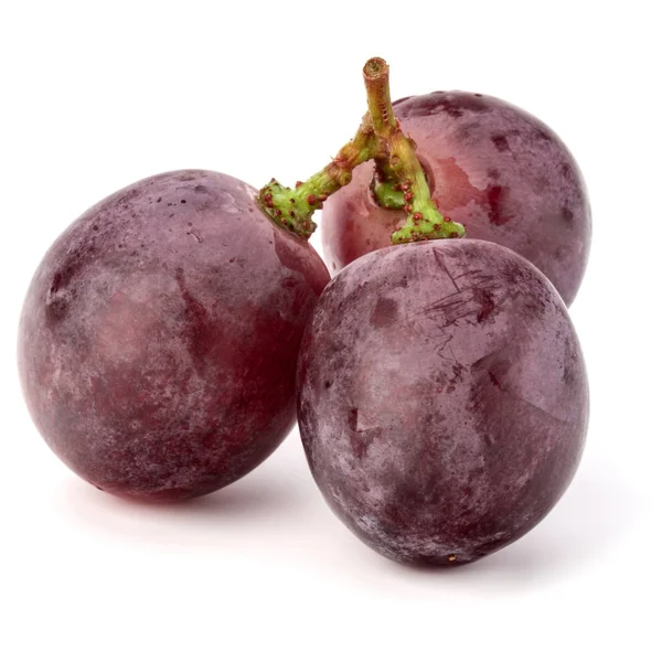 kırmızı üzüm demet 