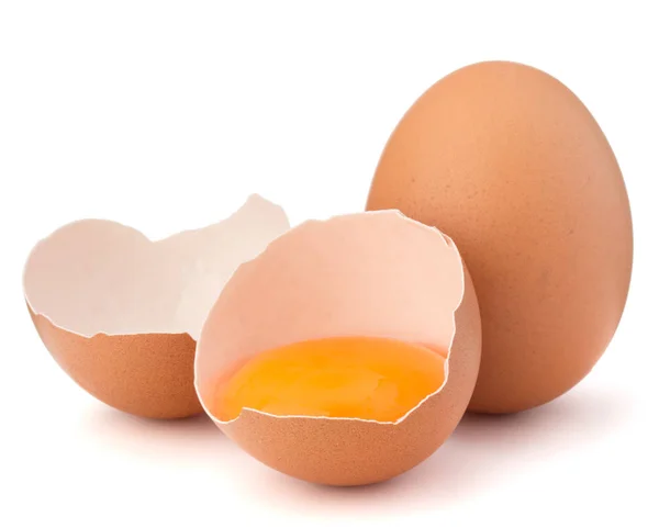 Broken egg in eggshell — Stock Photo, Image