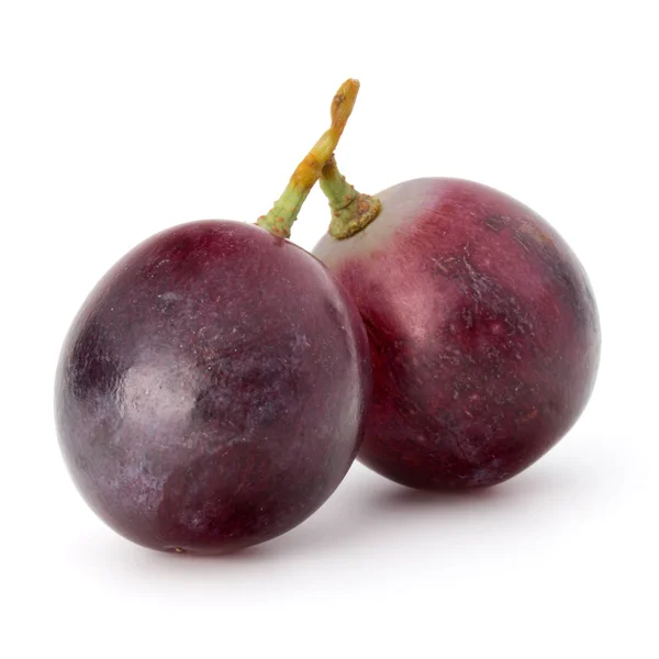 Ramo de uvas rojas — Foto de Stock