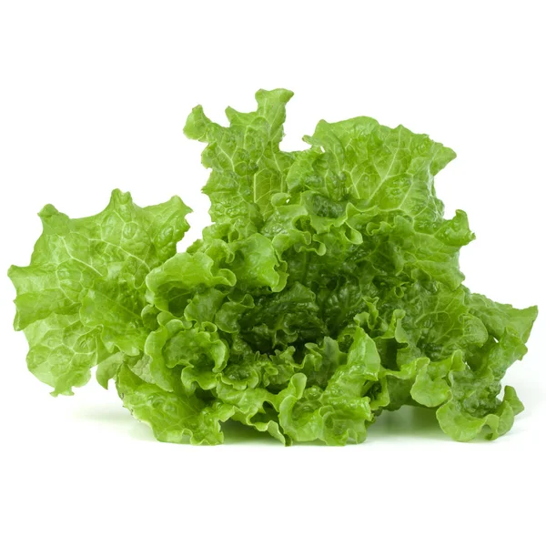 Frunze de salată verde — Fotografie, imagine de stoc