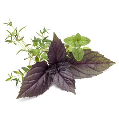 Çeşitli taze ot bırakır 