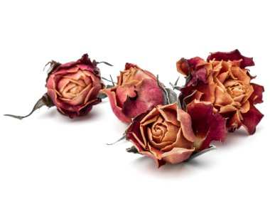 kurutulmuş gül çiçek başları