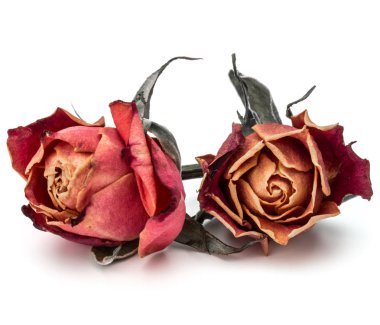 kurutulmuş gül çiçek başları