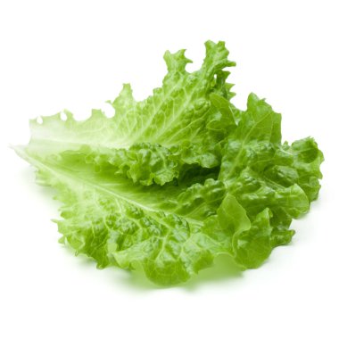  marul salata yaprakları 