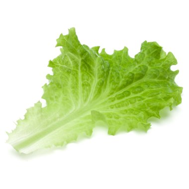 Marul salata yaprağı