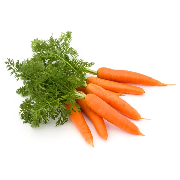Zanahorias vegetales con hojas —  Fotos de Stock
