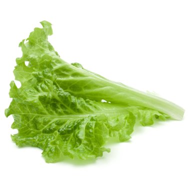Marul salata yaprağı