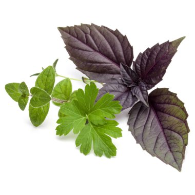 Çeşitli taze ot bırakır