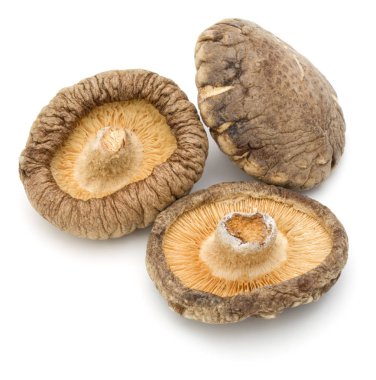 shiitake mantar kurutulmuş