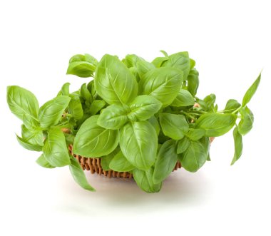 Hasır sepet fesleğen 