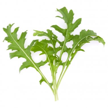  Yeşil taze roka yaprakları 