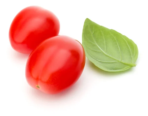 Tomates com folhas de manjericão — Fotografia de Stock