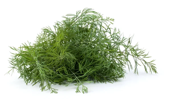 Fresh green dill herb — Stock Photo, Image