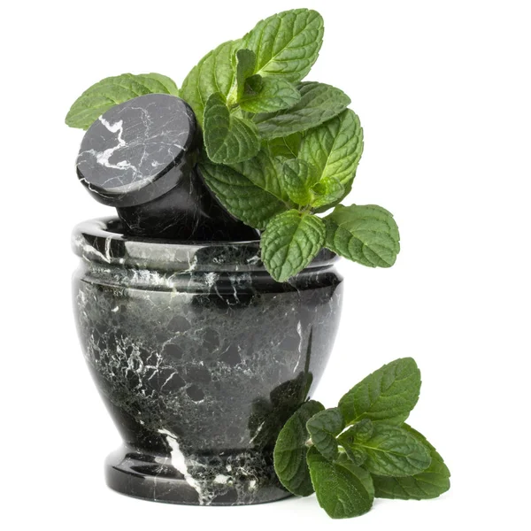 Mortar and pestle with mint leaves — Stock Photo, Image