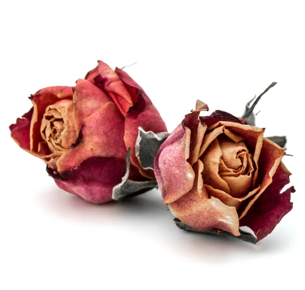 Dried rose flowers heads — Stock Photo, Image