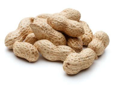 Fıstık Kruvazörlerin de arachis 