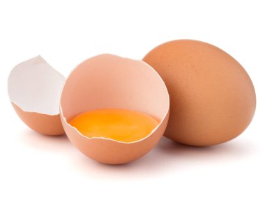 Kırık yumurta yumurta kabuğu 