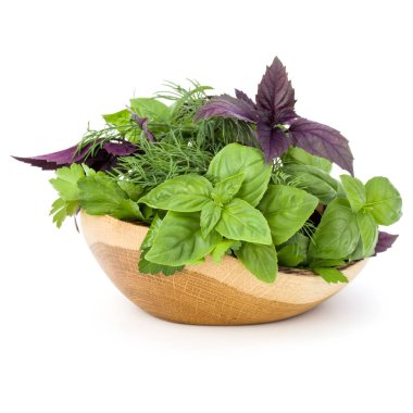 Taze baharatlar ve bitkiler. 