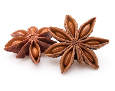 yıldız anason baharat 