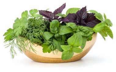 Taze baharatlar ve bitkiler.