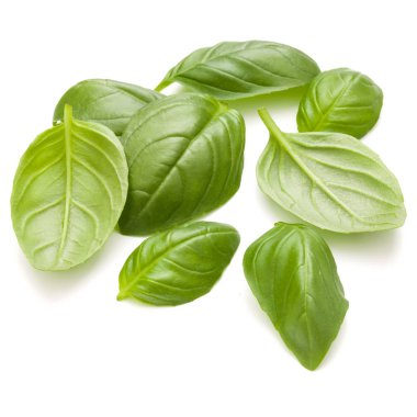 Fesleğen bitki yaprakları 