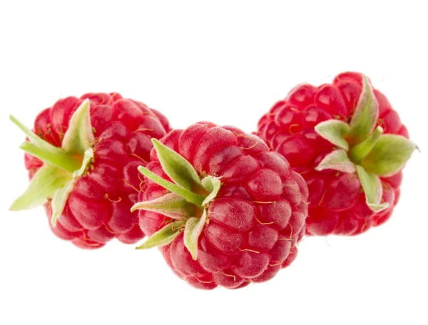 Reife Himbeeren auf weißem Grund — Stockfoto