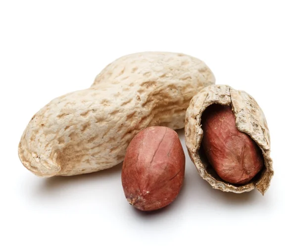 Peanut pods or arachis — Stock Photo, Image