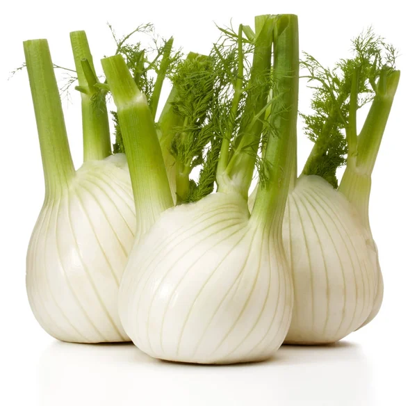 Fresh fennel bulbs — Stock Photo, Image