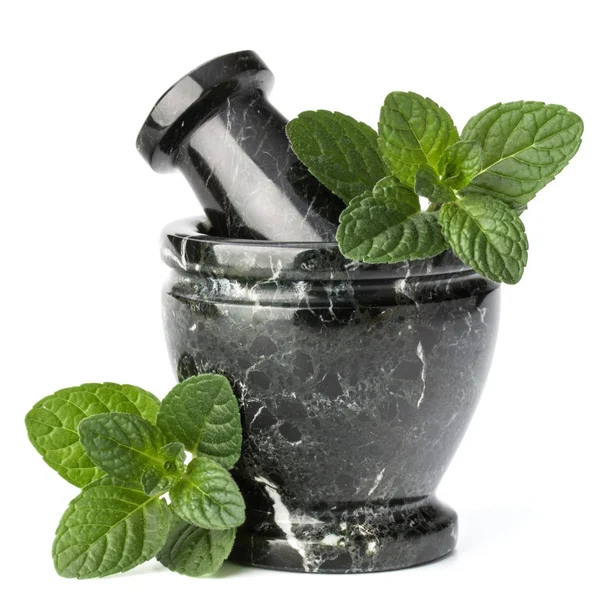 Mint leaves in Marble stone mortar — Stock Photo, Image