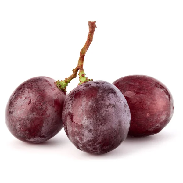 Bagas de uva vermelha — Fotografia de Stock
