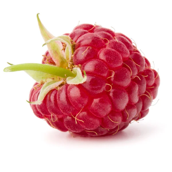 Ripe raspberry  on white — Stock Photo, Image