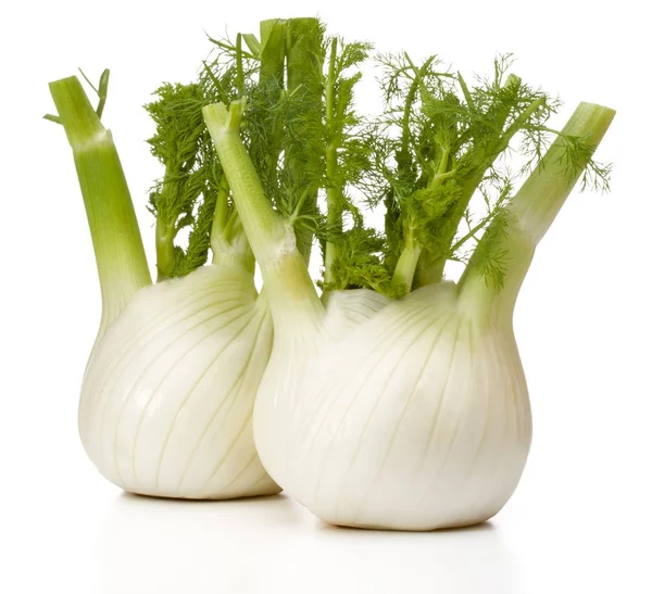 Fresh fennel bulbs — Stock Photo, Image