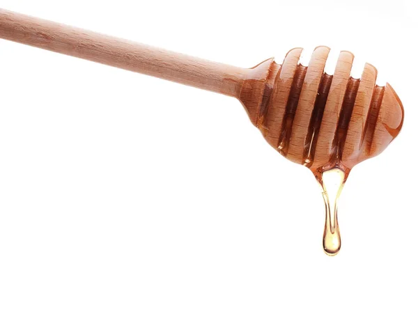 Honing druipend van houten honing Beer — Stockfoto