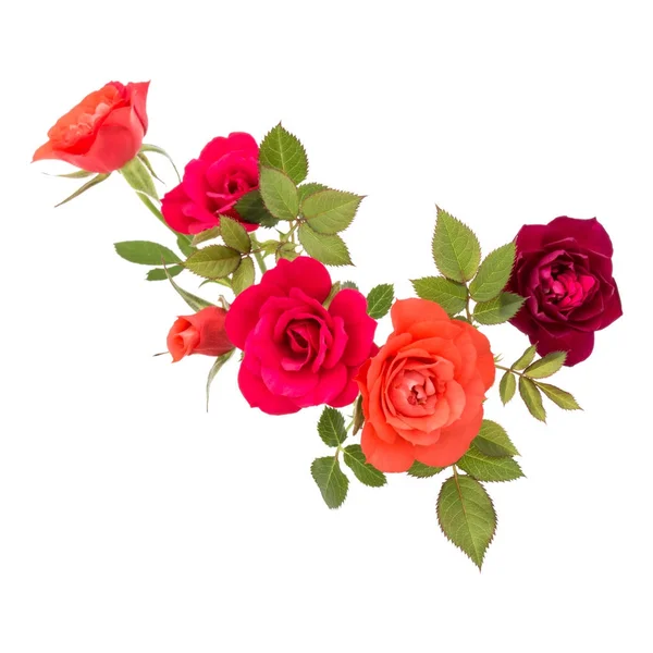Bouquet de fleurs de rose aux feuilles vertes — Photo