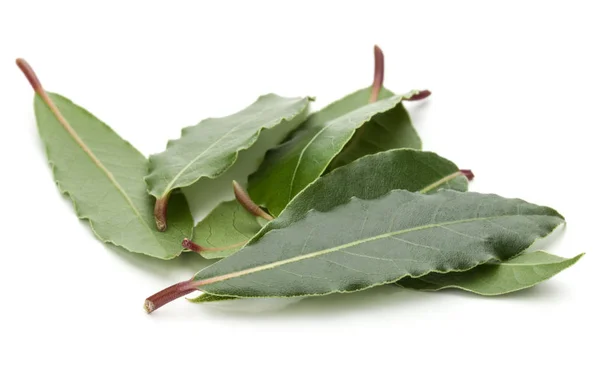 Aromatic bay leaves — Stock Photo, Image