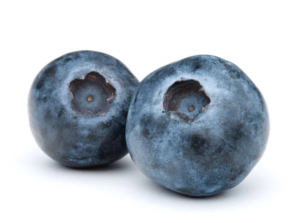 Blueberries or bilberries  on white — Stock Photo, Image