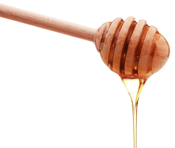 Honing druipend van houten honing Beer — Stockfoto