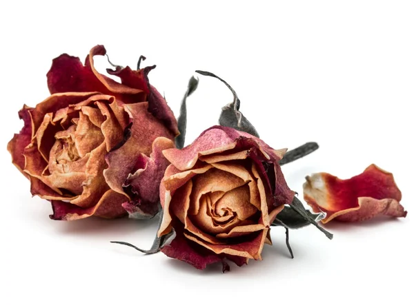 Dried rose flower heads — Stock Photo, Image