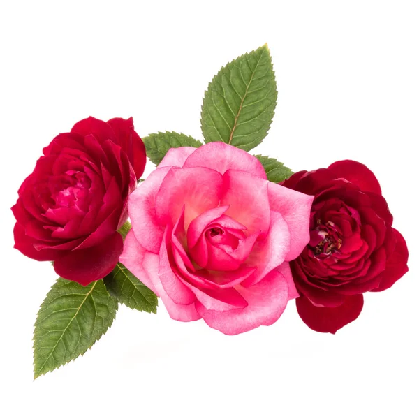 Mazzo di fiori di rosa con foglie verdi — Foto Stock