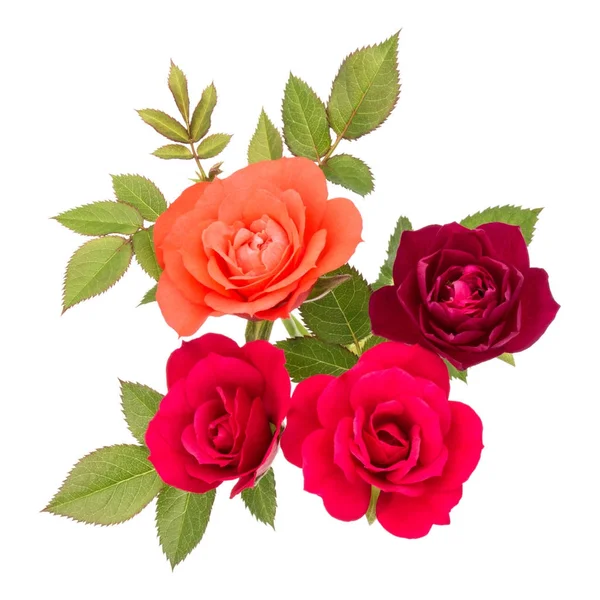 Mazzo di fiori di rosa con foglie verdi — Foto Stock