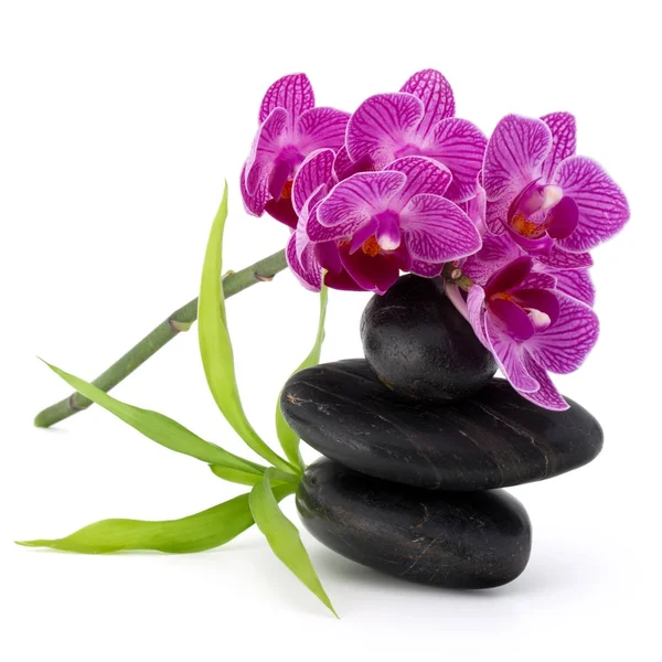 Zen-Kieselsteine und Orchideenblumen lizenzfreie Stockfotos