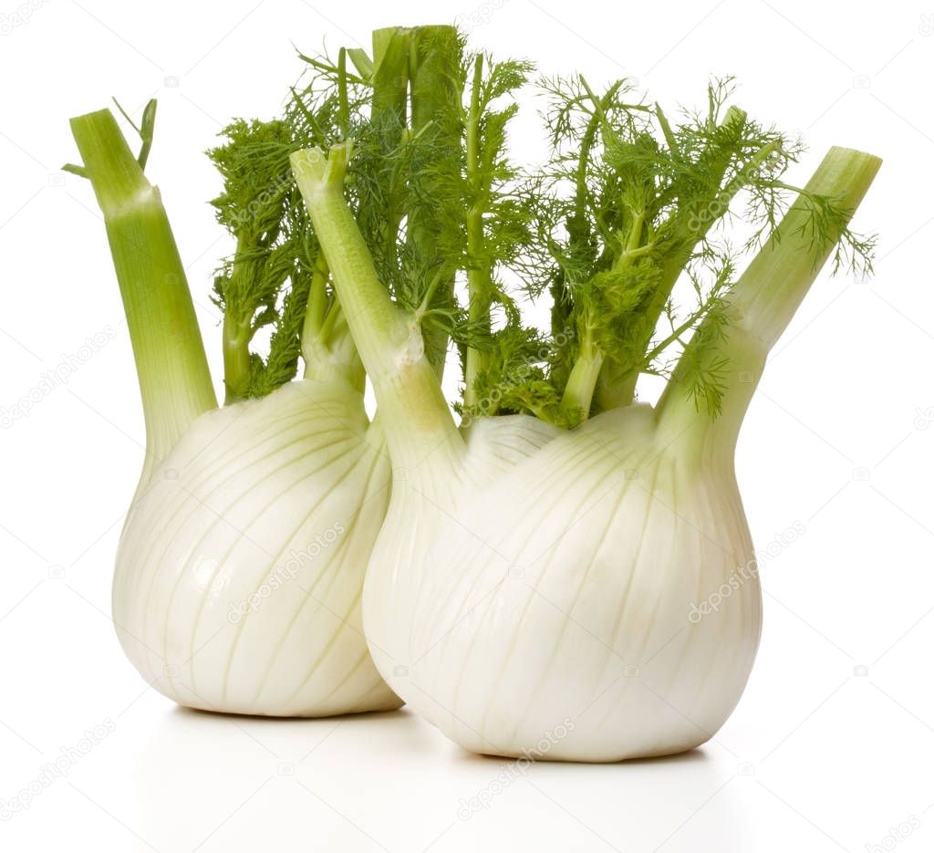 Fresh fennel bulbs 