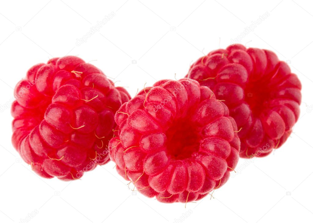 ripe raspberries on white