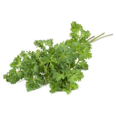 Beyaz arka plan üzerinde izole demet maydanoz yaprakları 