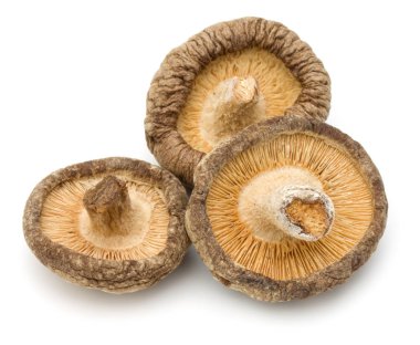Beyaz arka planda izole edilmiş kurutulmuş shiitake mantarları.
